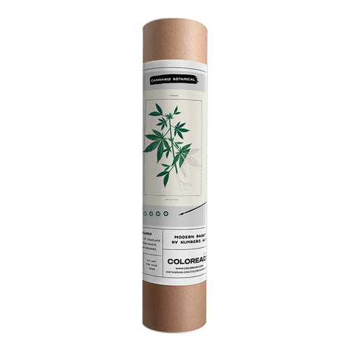 An image of a Coloready Cannabis Botanical Paint By Number Kit.