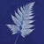 A third image of Jacquard Cyanotype Set