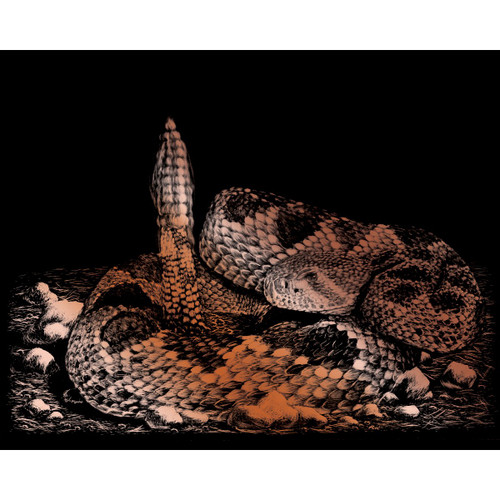 An Image of Detailed Bengal Tiger Engraving Art
