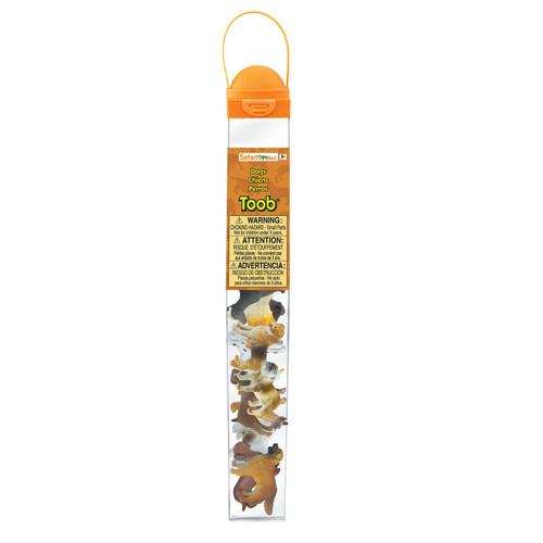 An Image of Spectra Ad Marker Colorless Blender